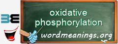 WordMeaning blackboard for oxidative phosphorylation